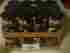 2400g 24packs Iguacu Coffee In 100g Tin 100 Brazilian Arabica 24