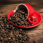 25235-g All Day Gourmet Fresh Roasted Ethiopian Yirgacheffe 812535021975
