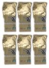 617576095837 Starbucks Blonde Roast Veranda Blend Coffee Oz Each