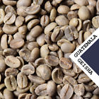 7426885214746 Mad Coffee Roasters Importers Lbs Guatemalan El Injerto