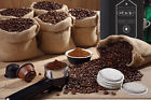 853551007338 Stack Street French Roast