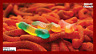 886203003099 Dulces Colibri Gummy Worms Coated In Our Signature