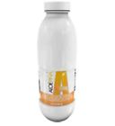 Aloe 960ml Omnilife Pina