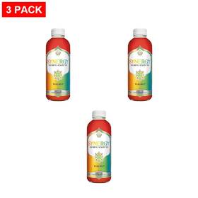 Gts Living Foods 100137116701 Trilogy Unpasteurized Raw Kombucha 16 Fl Oz - Pack Of 3