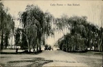 IMV2670 Calle Pavez San Rafael California Usa. Fixed Price $25.00.