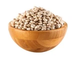 Sweet - Lupini Beans Lupine Lupinus Alba Seeds. Fixed Price $49.95.