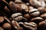 2026 Florida Cracker - Cowboy Coffee 1 Bag Fresh Roasted. Fixed Price $19.95.