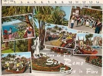 Postcard Liguria - Imperia San Remo 2590. Fixed Price $11.38.