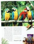 Nabob Coffee Magazine Ad South Pacific Blend Parrots Cover On 12X8IN Metal Sign. Fixed Price $21.99.