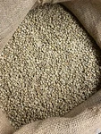 5 Lb El Salvador Unroasted Green Coffee Beans Arabica Whole. Fixed Price $45.00.