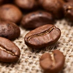 2026 Gourmet Coffee - Fresh Roasted Colombian Supremo 8 Oz Bag. Fixed Price $9.95.