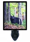 Decorative Photo Night Light, Black Bear, Wildlife. Fixed Price $26.99.