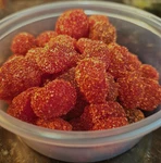 Dulces Enchilados By Tania Spicy Chamoy Gummy Candy Snack Mix. Fixed Price $7.00.