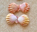 Hawaiian Sunrise Shell Lot Pecten Langfordi Multi Colored 4 Pieces Pairs 20MM. Fixed Price $100.00.
