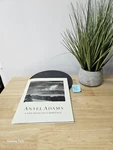 Ansel Adams San Francisco Heritage Fine Arts Museums Sf James & Mary Alinder. Fixed Price $9.79.