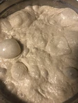 Boudins Bakery San Francisco Sourdough Starter Purchased 1951 ! Verified. Fixed Price $7.49.