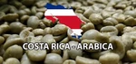 5 Lb Costa Rica, Rican, Unroasted Green Coffee Beans Five Pound - Arabica. Fixed Price $42.00.