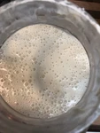 San Francisco Sourdough Starter Rated Top Seller! Best Verified Heritage. Fixed Price $6.95.