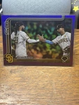 2025 Topps Series Celly Stick Purple Holo Foil /250 San Diego Padres #389. Fixed Price $5.00.