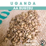 Uganda Aa Bugisu Coffee Beans - Unroasted Green. Fixed Price $10.75.