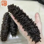 Australian Cucumbers Wild Caught 50-60 500G. Fixed Price $206.25.