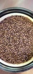 Medium Roast Brazil Specialty Coffee - Single Origin, 17/18 (cerrado, Minas). Fixed Price $16.99.