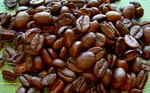 Organic Haitian Blue Mountain Coffee Medium / Light Roast 5 Lbs. Fixed Price $171.39.
