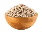 Sweet - Lupini Beans Lupine Lupinus Alba Seeds 85G 3 Oz. Fixed Price $17.99.