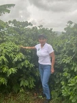 Low Acidity Bali Blue Coffee Beans Dark Roast Espresso 2LB Arabica Whole. Fixed Price $32.95.