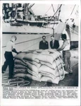 1964 Press Photo London England Bags Coffee Beans - NER31617. Fixed Price $24.99.