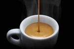 2026 Fresh Roasted Coffee, Caffe Siciliano, Beans, Italian 12 Ozs. Fixed Price $13.95.