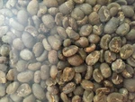 4 Lb Green Sumatra Mandheling Coffee Beans - For The Home Roaster. Fixed Price $39.99.