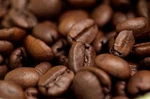 2026 Brazilian Santos Bourbon - Fresh Roasted Coffee Bags Whole Bean. Fixed Price $26.95.