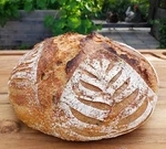 Sourdough Starter Dehydrated San Francisco 150+ Yrs Old - Gram Bag. Fixed Price $6.75.