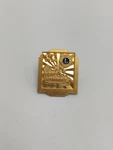 Vintage Lion's Club 100 Pct Attendance 1973-1974 Lapel Pin. Fixed Price $5.00.