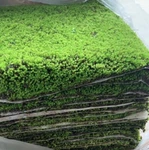 Star Moss Bonsai & Garden Live Turf - Authentic Ground Cover For Zen La. Fixed Price $11.99.