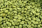 Unroasted Extra Fancy Hawaiian Kona Coffee Beans Authentic Prime 20 Pounds. Fixed Price $319.95.