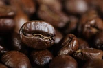 2025 Cafe Supremo Espresso - Bags Fresh Roasted Coffee Beans Gourmet. Fixed Price $69.95.