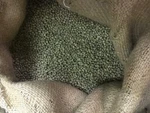 5 Lb Fresh Unroasted Tanzanian Peaberry Green Coffee Beans - Arabica. Fixed Price $40.00.