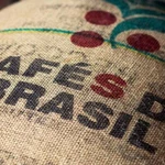 20 Lbs Brazilian Santos Screen #16/17 Green Bean Coffee - New Crop. Fixed Price $140.65.