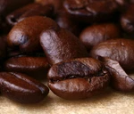 2026 Havana - "gourmet Coffee" (1) 12 Oz Bag Fresh Roasted "coffee. Fixed Price $13.95.