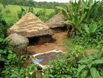 African Coffee Sample Pack Kenya Ethiopia Tanzania Peaberry Roast Fresh 3 Pounds. Fixed Price $47.95.